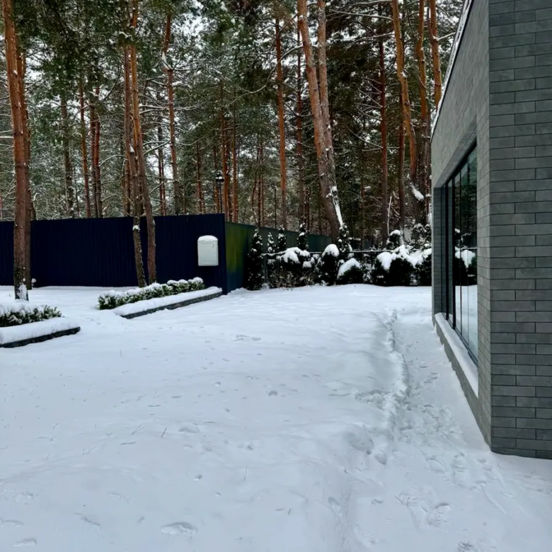 Заміський будинок з басейном в КМ Forest Villa поряд з лісом